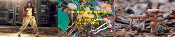 метамфетамин Семилуки