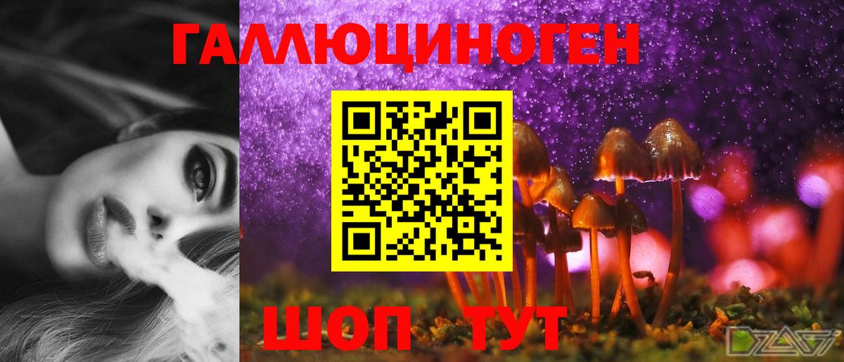 Баксан  Псилоцибиновые грибы MAGIC MUSHROOMS  Вход с VPN 